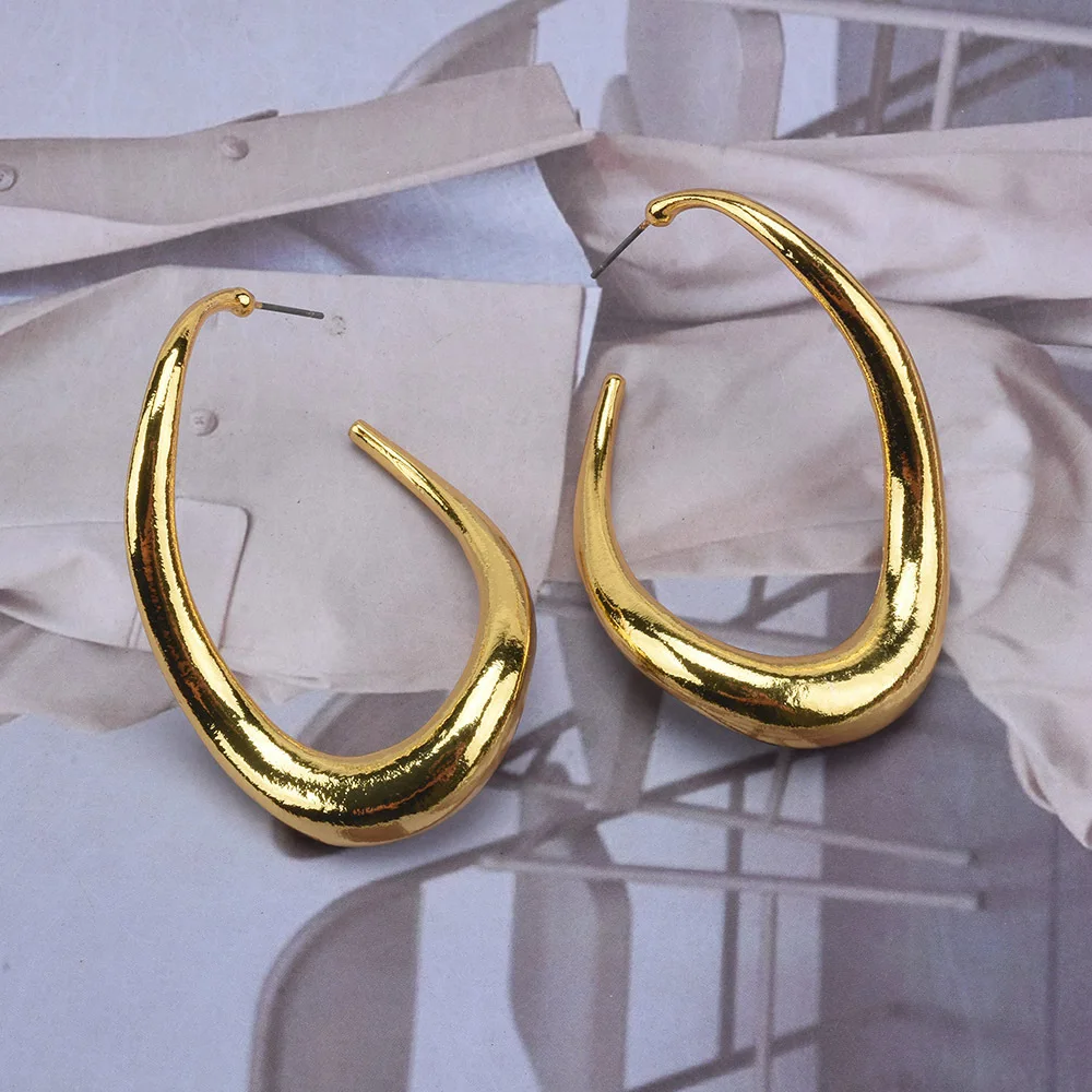 Special-shaped alloy earrings exaggerated earrings women's trend metal sense geometric niche jewelry cross-border supply