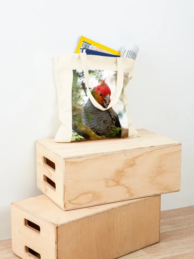 الدس في حمل حقيبة مخصصة حقيبة قماش حقيبة اليد السيدات تسوق حمل النساء