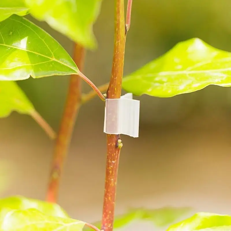 

20Pcs Agriculture Grafting Clips,Plant Vine Branch Fixing Tool Flower Tomato