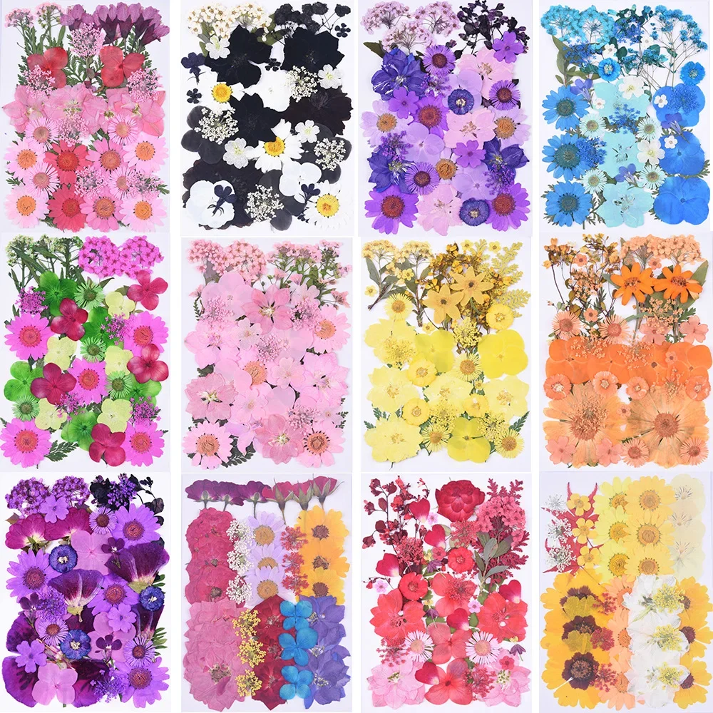 1 Beutel 34–40 Stück getrocknete gepresste Blumen für DIY-Telefonhülle, Schmuckherstellung, Kunsthandwerk, natürliche echte Blumen, Nagelkunst-Dekoration, Party, Zuhause
