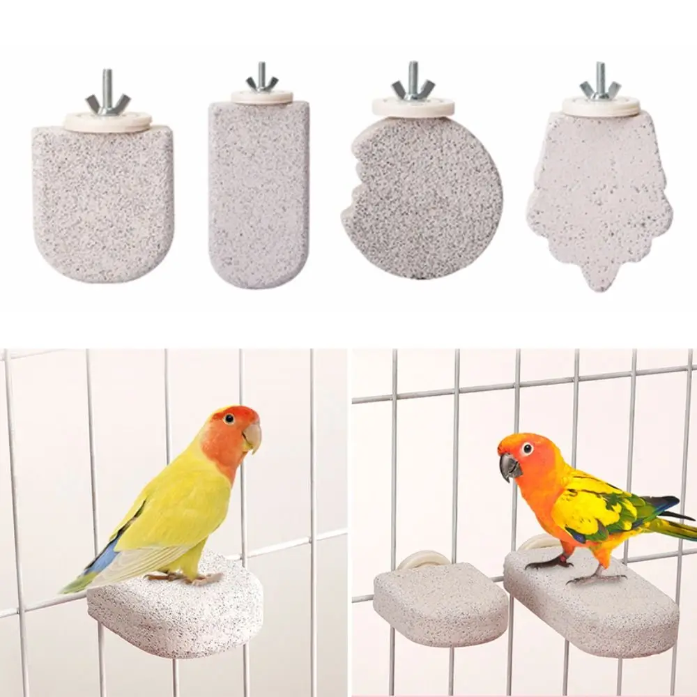 Pumice Parrot Stand Board Claw Grinding Tooth Grinding Bird Resting Platform Relieve Boredom Detachable