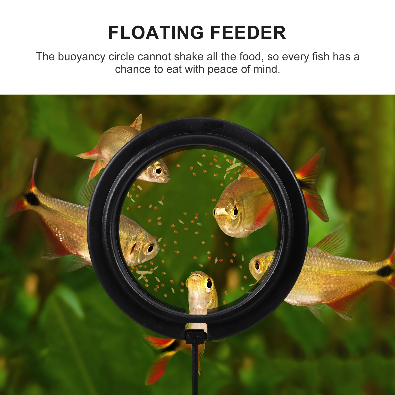 

Fish Feeder Feeding Circle Ring Floating Food Accessory Suction Cup Black Creative Aquarium Tank Decor Durable Plastic