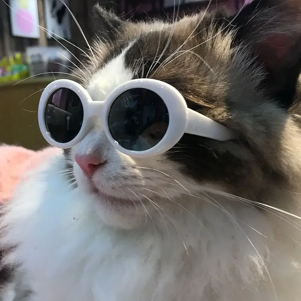 1pcs Round Plastic Pet Accessoires Glasses Photos Props Pet Products Cat Eye-Wear Cat Glasses Pets Party Decor Cat Sunglasses