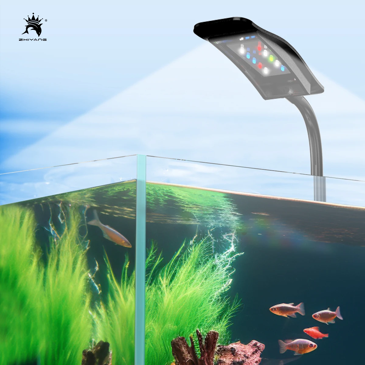 Fish tank 6W small clip light mini led usb plug lighting highlight aquarium water plant lamp fill light translucent clip light