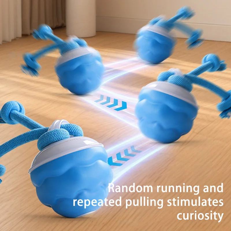 Thumbnail 2 - #30 Latest Puppy Rope Toys Offers