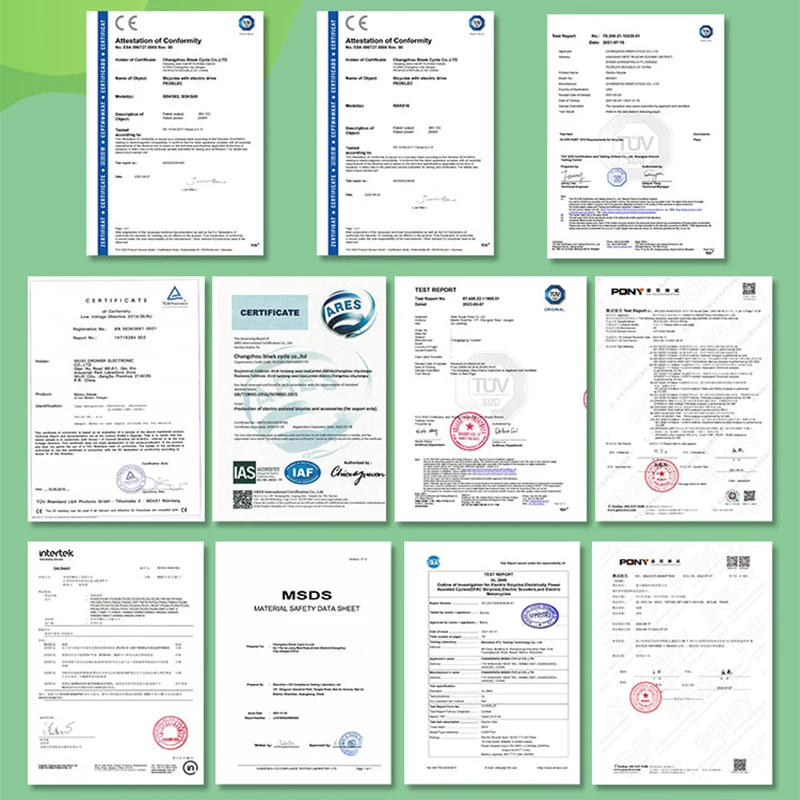 STLF سعر الجملة 7 سرعة 350 واط 500 واط 52 فولت 20 بوصة طويلة المدى إطار من سبائك الألومنيوم E الدراجة على الطرق الوعرة دراجة كهربائية