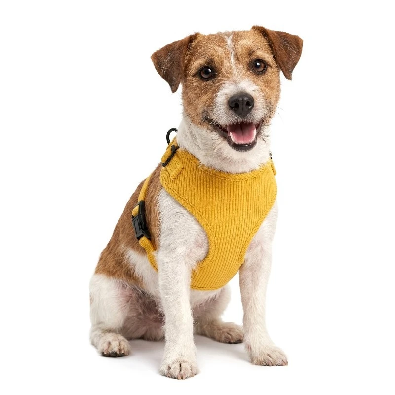 High-value corduroy dog chest back set anti-removal pet vest
