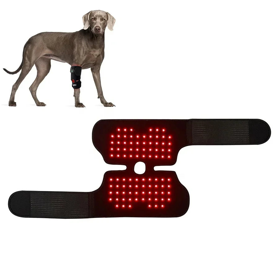 Hot Selling High-quality Products  Horse and Other Animals Use Led Red Light Therapy Pads  Lamp for Pain Relief and Healing