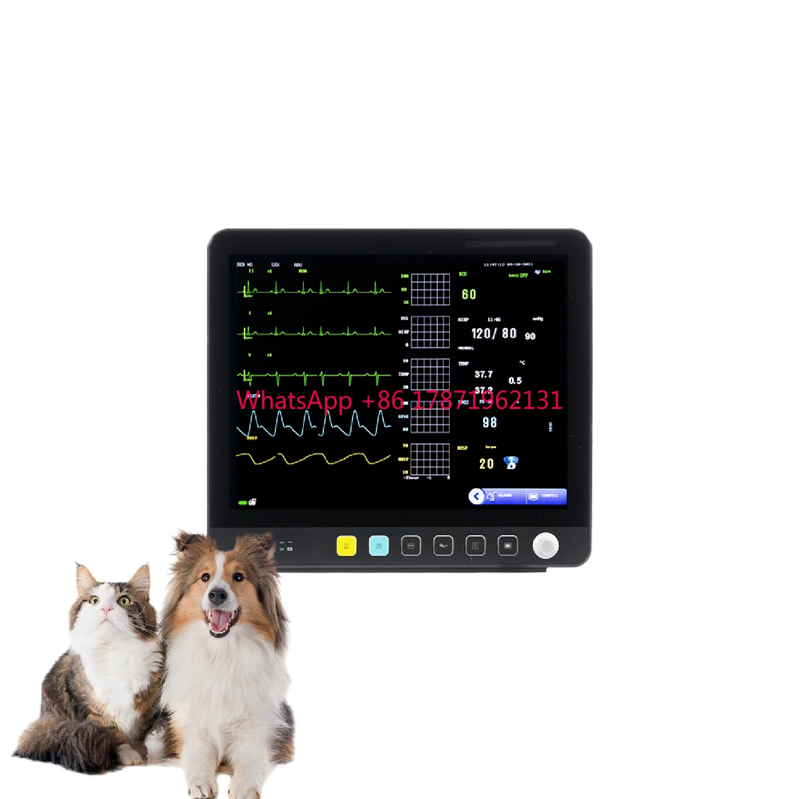 Medical Instrument Veterinary Hospital Clinic Icu Surgery Multi Parameter Vital Signs Monitor