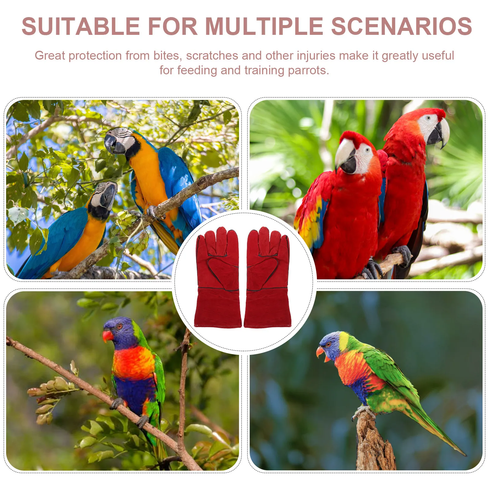 1Pair Parrot Training Anti-Bite Gloves Protective Gloves Pet Feeding Supplies Hand Protection Pet Feeding Supplies