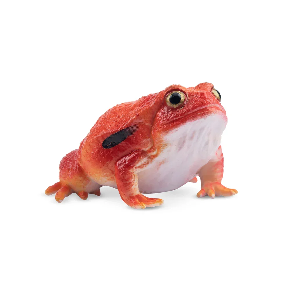 Toymany Simulation Tomato Frog Madagascar Animal Model Toy Mini Figures Dolls Action Figurines Toy Children Gife Cake Decoration