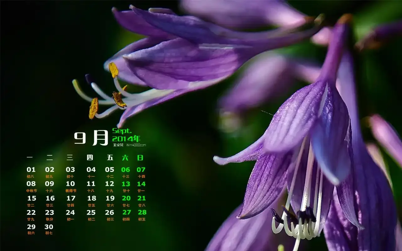 

Wheel Tires Rack Tire Storage Rack for 1/10 On-Road Racing Rally Drift Car 1/18 1/24 RC Crawler Car TRX4M SCX24