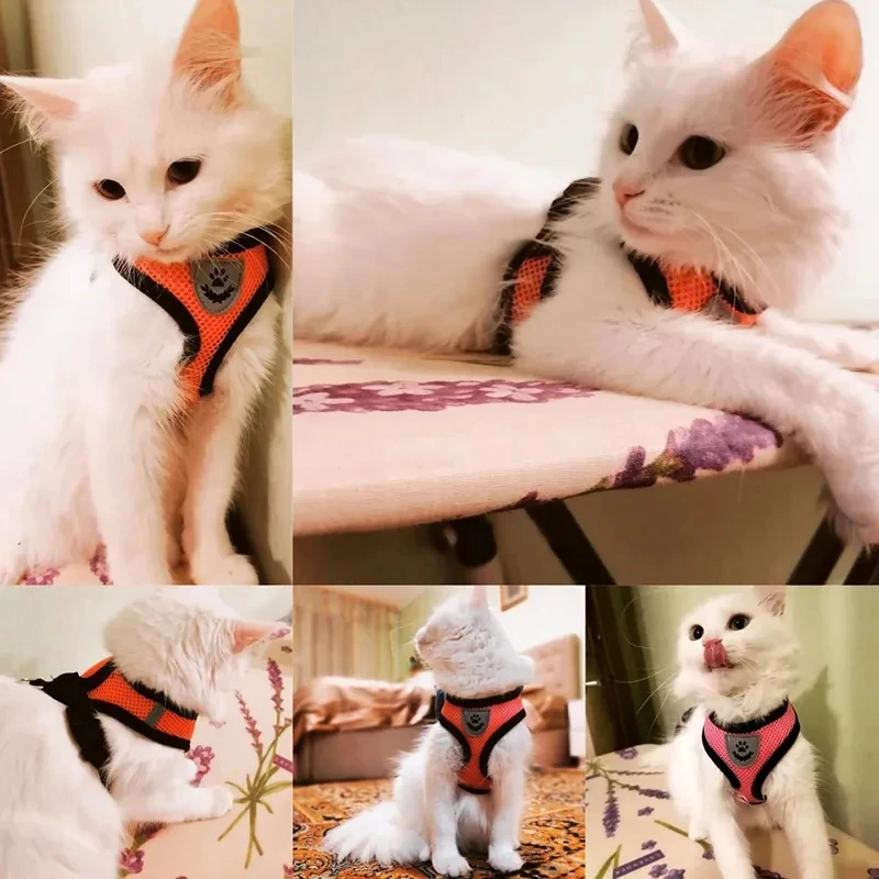 

Cat Vest Walking Lead Leash Puppy Vest Collar Polyester Adjustable Mesh Dog Harness Small Outdoor Dog Walking