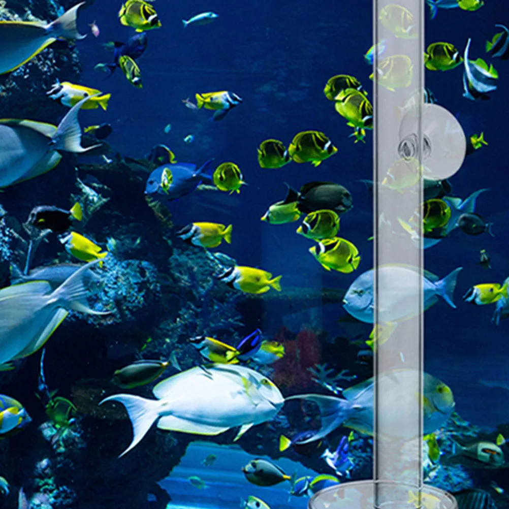 

1 set Tube Fish Aquarium Fish Feeder Tank Shrimp Feeding Dish Shrimp Feeder Transparent Acrylic Material Safe Feeding Tool