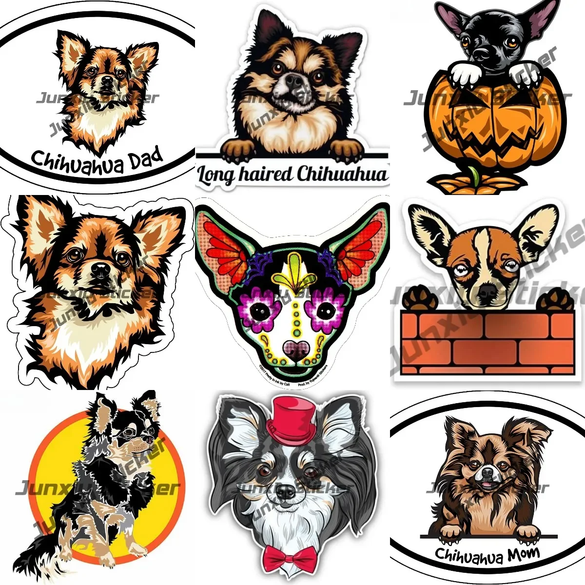 Chihuahuas Dog Peeking Vinyl Decal Long Haired Chihuahua Sticker I Love My Chihuahua Decal Fun and Fashionable Chihuahua Dog