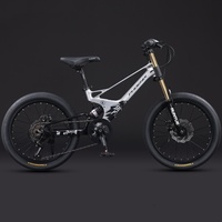 20inch MTB Bike Downhill Bikes AM XC Mountain Bicycle  7 Speed Magnesium Alloy Frame Disc Brake 20 inch Mountain Bike Wheelset