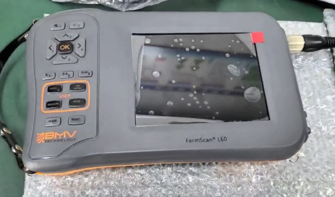 L60 BMV Popular Model Handheld Veterinary Ultrasound Scanner for Animals Cow, Sheep, Horse, Camel and Pig