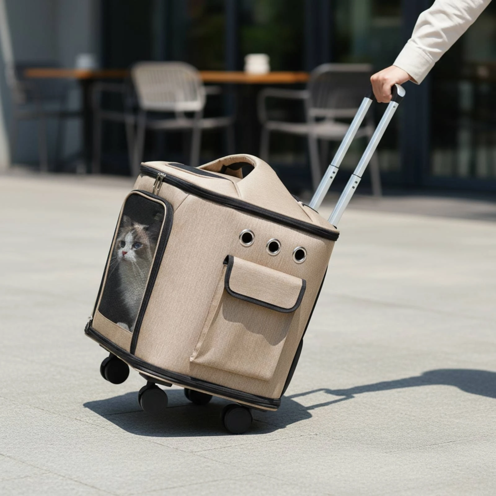 Rolling Pet Carrier Large Capacity Feline Carrier Suitcase Feline Travel Bag Trolley Handle Multiple Carrying Options