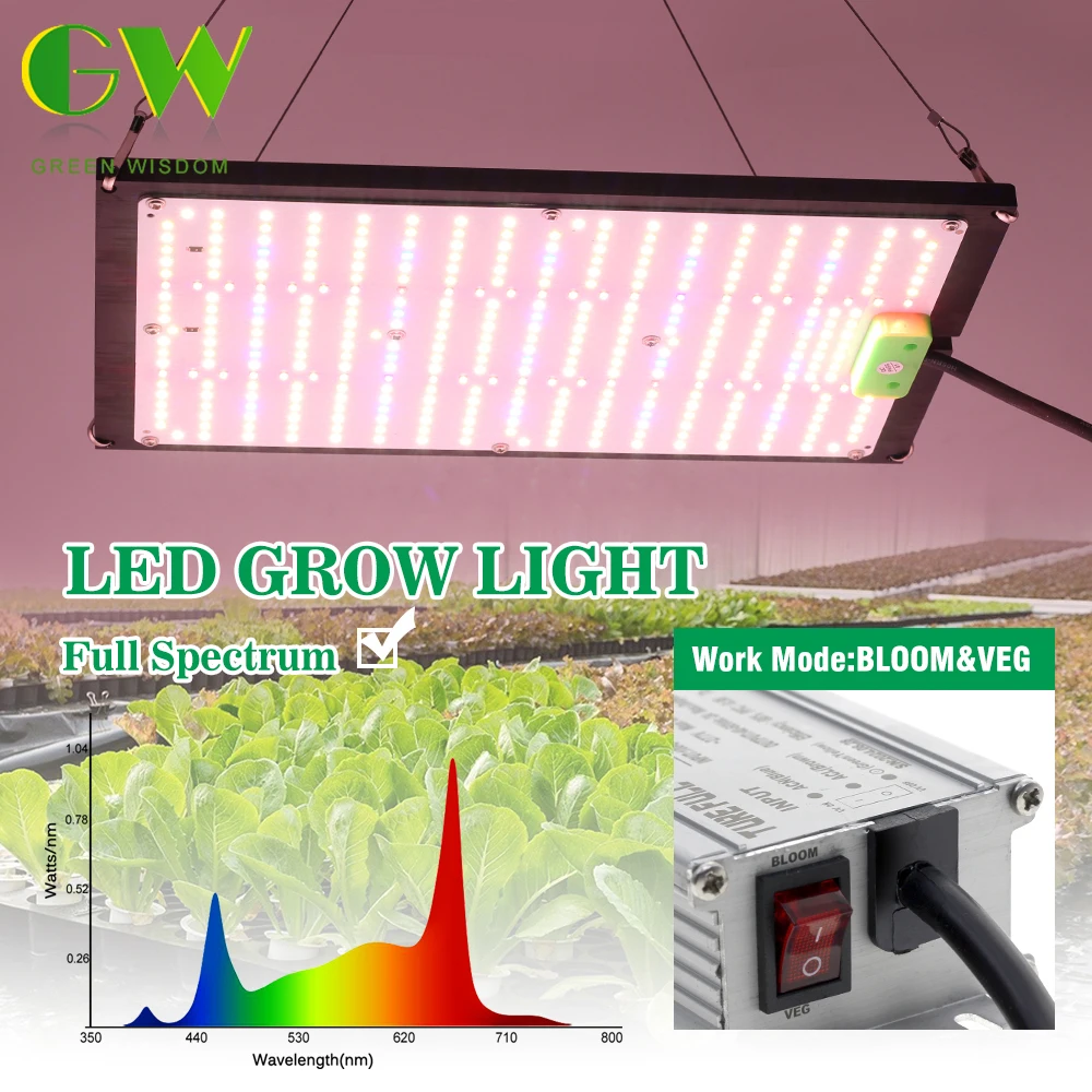 Luces LED de cultivo Samsung LM301H de 120W y 240W, Diodos y controlador MeanWell, espectro completo, IR, placas fitoamplificador UV para plantas hidropónicas