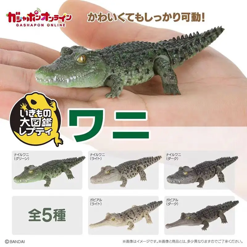 

Genuine Action Figure Biological Image of Crocodile Gacha Ganges Crocodile Nile Crocodile Simulation Movable Model