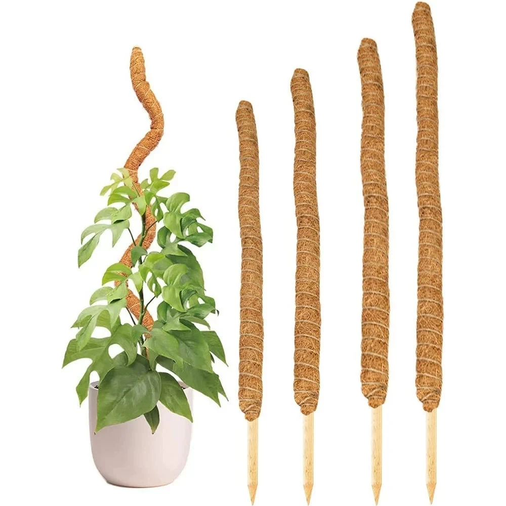 Buigbare Mospaal 60-160cm voor Planten Kokospalmvezel Monstera Plant Ondersteuning Handgemaakte Coco Klimplanten Ondersteuning - afbeelding 2