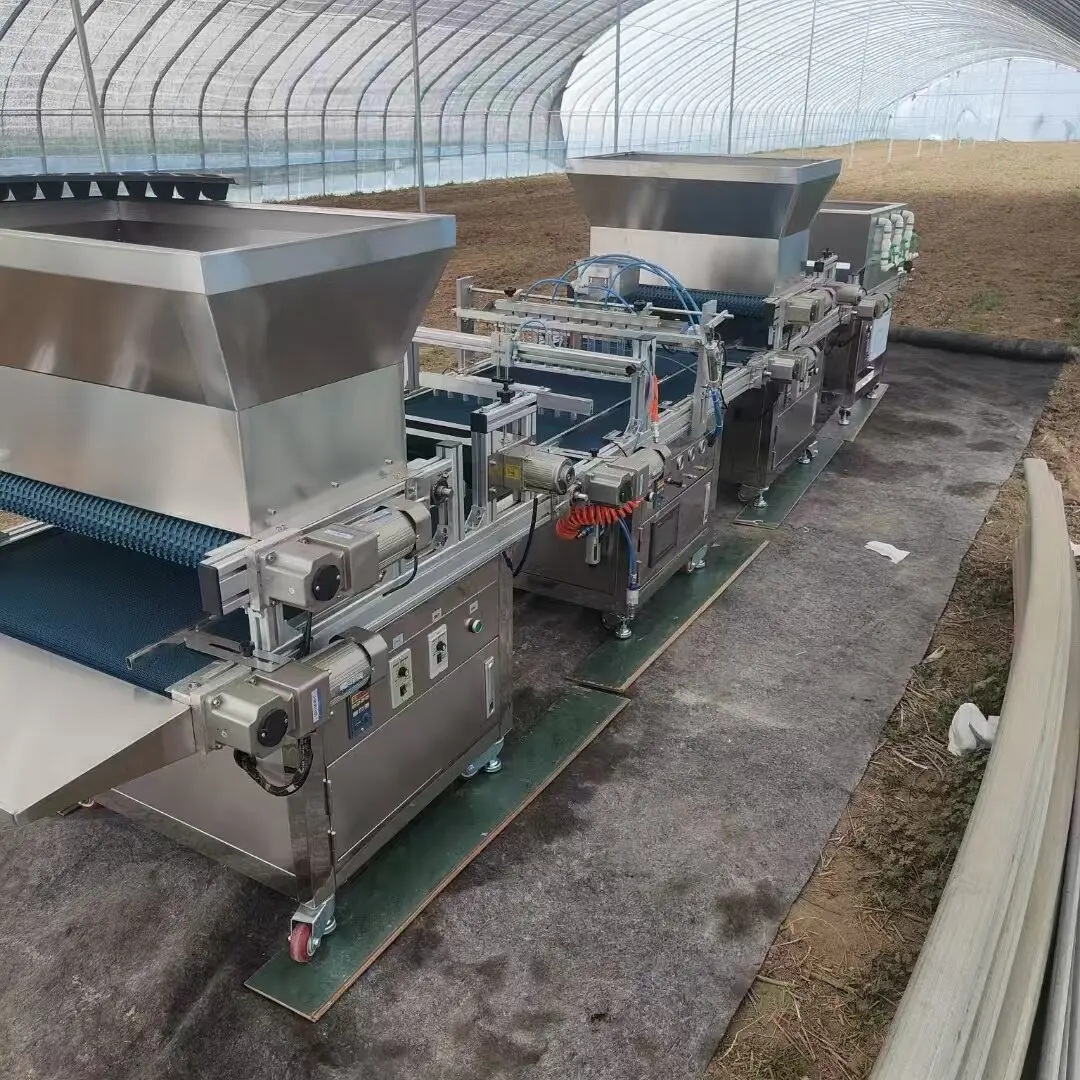 Fully Automatic Seedling Machine Vegetable Tray Seedling Seeder With Soil Spreader Hole Pressing Machine Planter