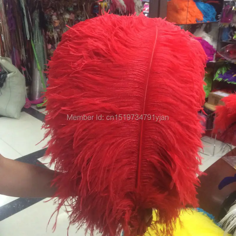 Wholesale 10PCS Quality Natural OSTRICH FEATHERS 60-65CM 24-26inches long Colour