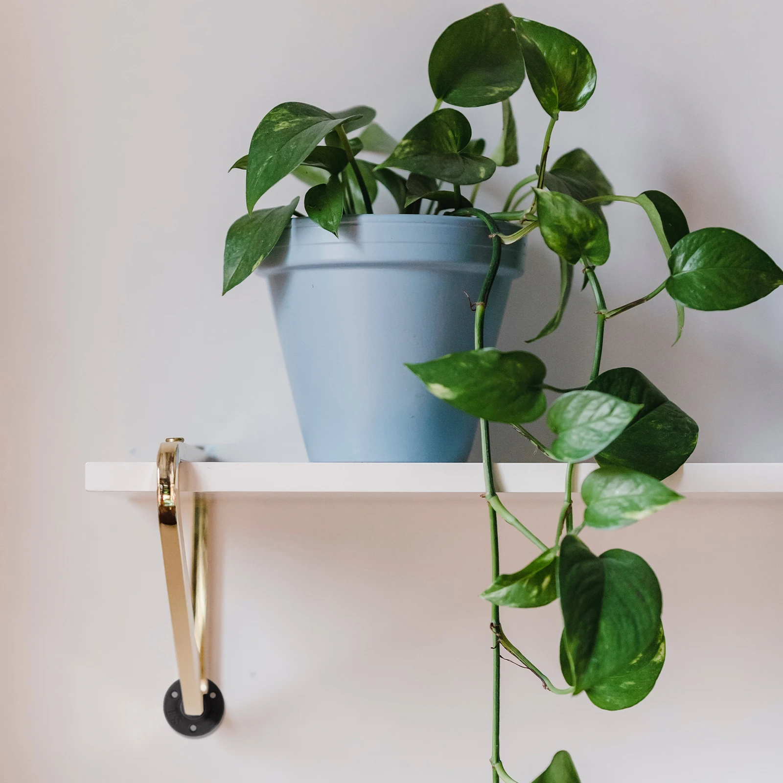 

10pcs Flange Base Malleable Floor Iron Fittings Accessories Wall Mounted Black Threaded Pipe Shelving Furniture