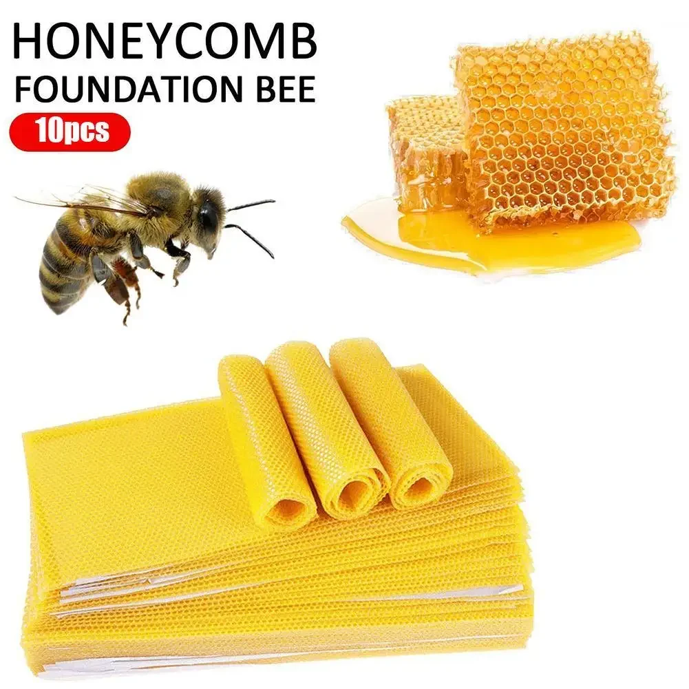 10pcs Bee Wax Foundations Beekeeping Bee Base Honeycomb Pieces Beeswax Foundation Bee Hive Wax Frames Honeycomb Sheet