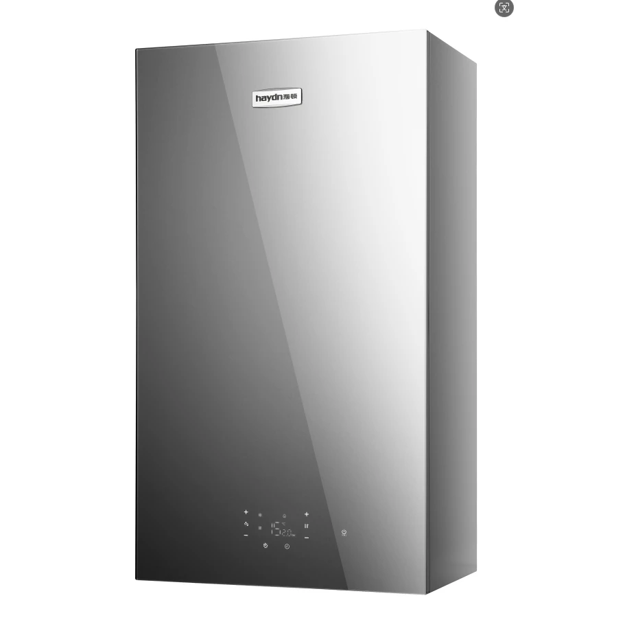 Affordable Gas Boiler With High Efficiency Low Maintenance Cost And Long Lifespan 20KW