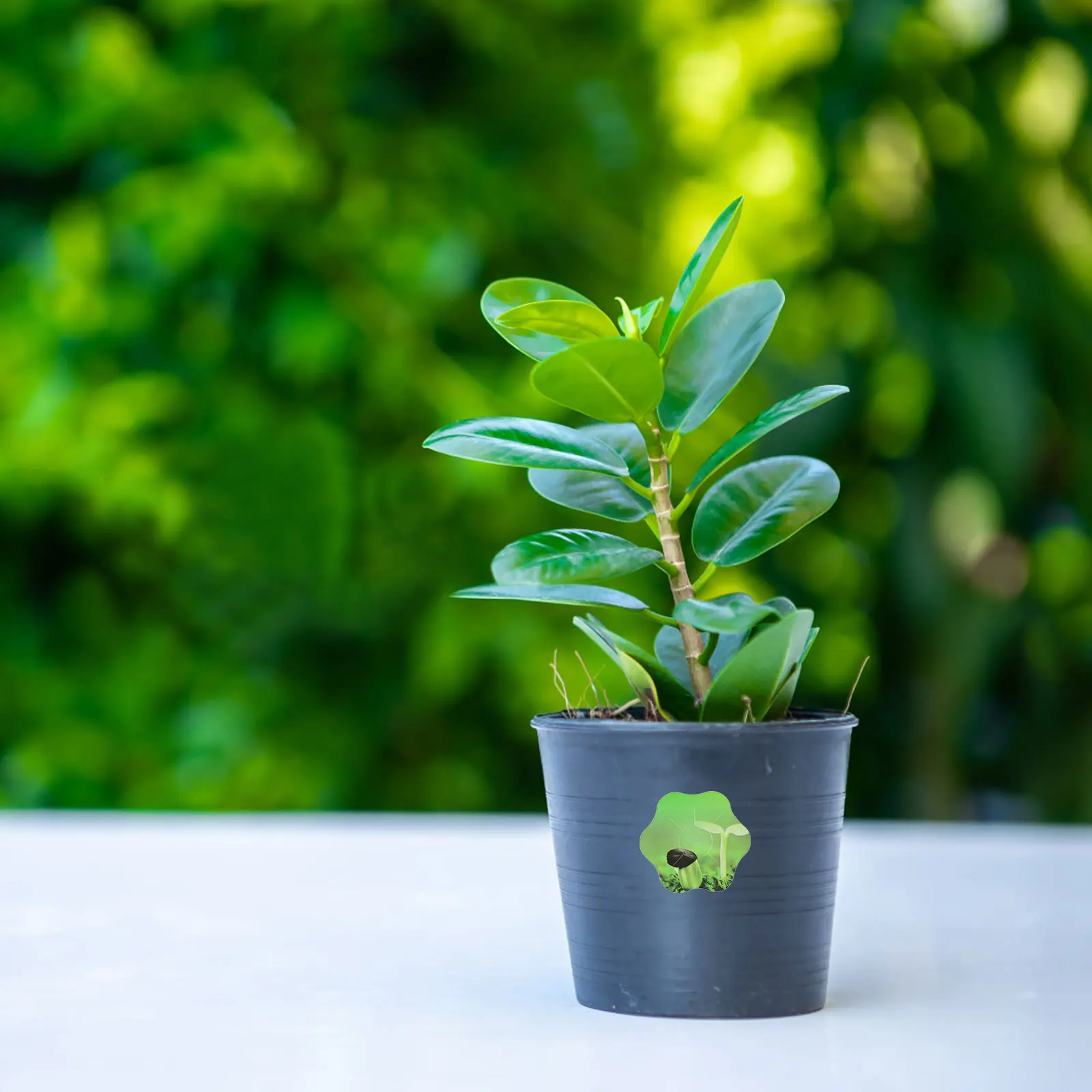 

10 листов умные гидропонные наклейки для машины, самоклеящиеся этикетки для горшков из ПВХ для размещения садовых растений, комплект для выращивания, поставки