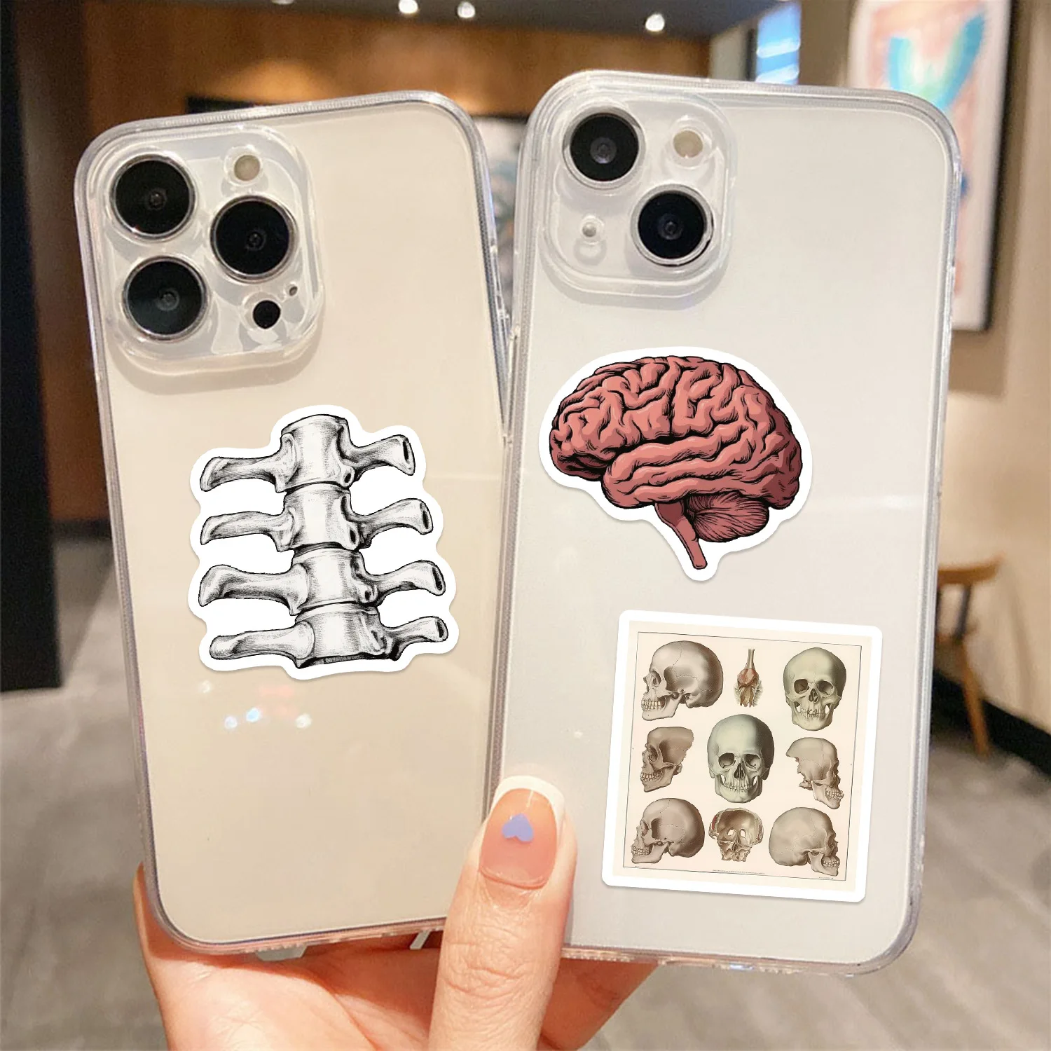 50PCS Retro Scientific Anatomy Sticker Physiology Anatomy Luggage Laptop Cars PVC Guitar Coffee Skateboard Notebook Decals