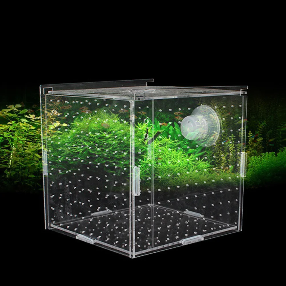 

Single Breeding Box Incubator Isolation Hairtail Nursery House Aquarium Accessaries Multi-cell Isolation Net Acrylic Single Cell