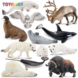 12Pcs Simulation Polar Animals Animal Model Toy Mini Large Figures Dolls Action Figurines Toys for Children Set Gift