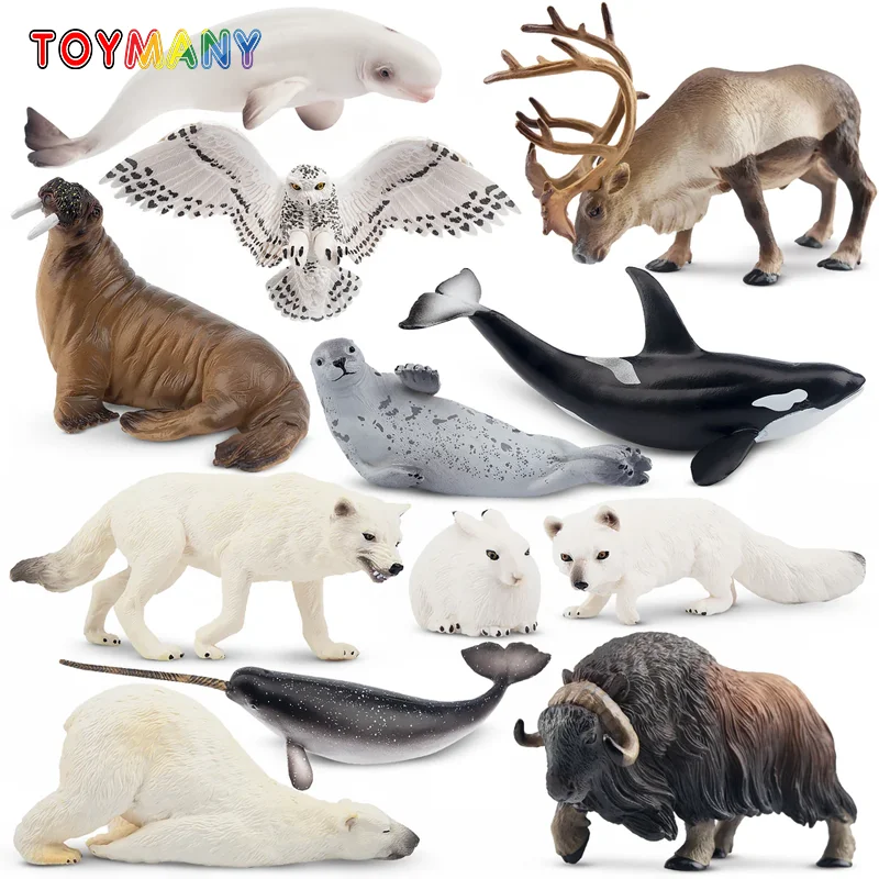 12Pcs Simulation Polar Animals Animal Model Toy Mini Large Figures Dolls Action Figurines Toys for Children Set Gift