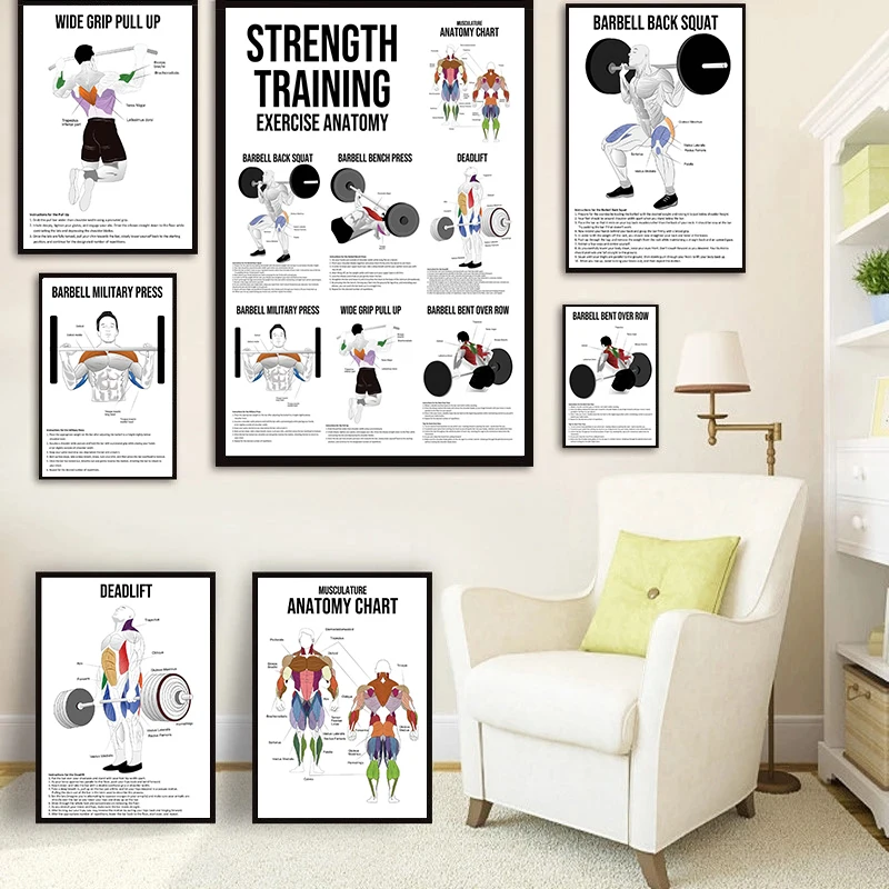 Exercise Anatomy Diagrams Poster Barbell Weightlifting Correct Posture Text Canvas Painting Home Gym Wall Decoration Picture