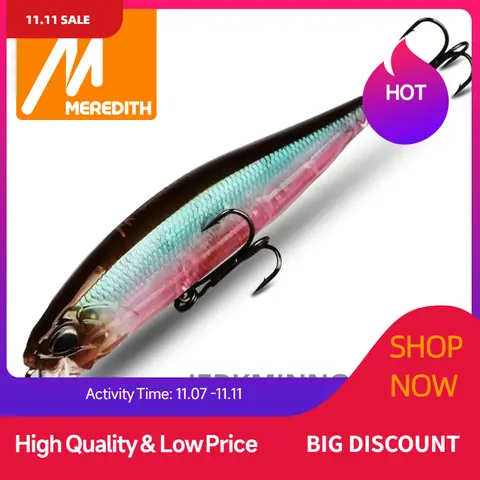 Floating Minnow Fishing Lure 100F MEREDITH
