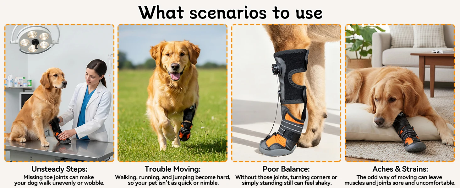 dog boots &amp;amp; paw protectors