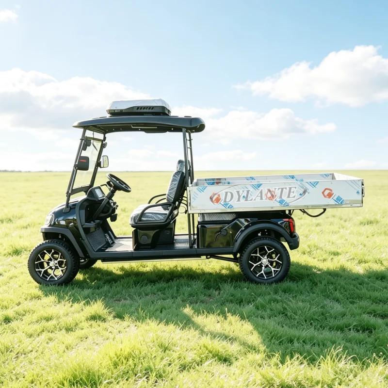 72V 5000W AC Motor 2 Seater Electric Golf Cart with Cargo Box CE Certified Off Road Utility Golf Buggy with LED Lights