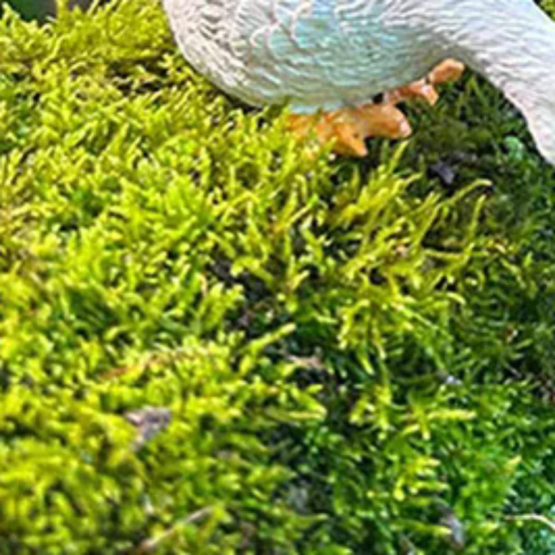 3pcs Cute White Duck Hydroponic Lotus Flower Pot Retro Resin Statue Outdoor Sculpture For Home Office Desk Garden Desk Decor