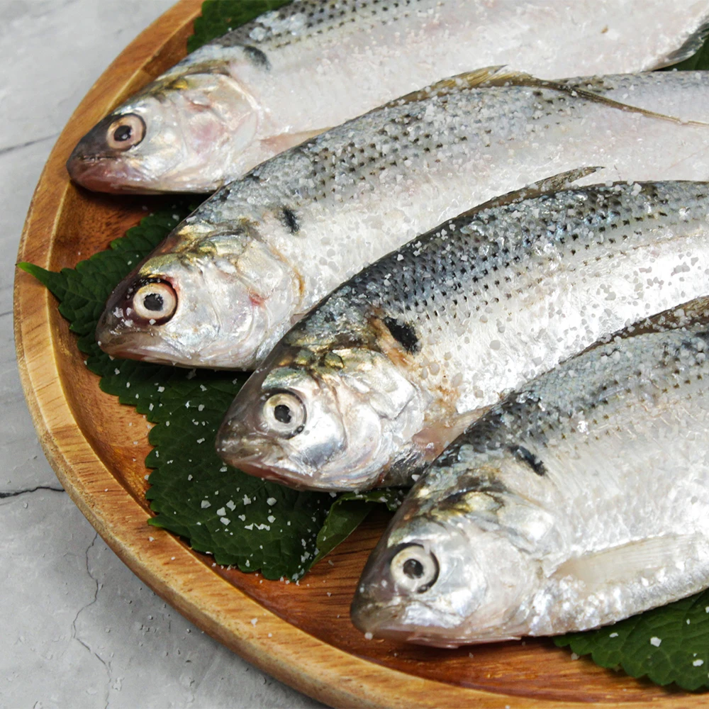 Jujin Sanji J i Yong Roasting Transfer 1kg 13~17 mi