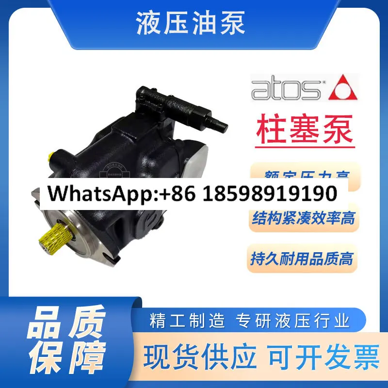 Atos Plunger Pump P…