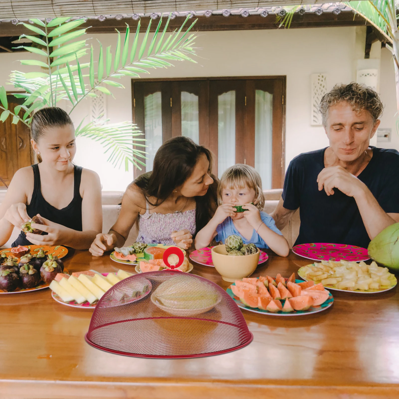 

Food Cover Mesh Dome Iron Build with Fine Ventilation Screen for Picnics Barbecues and Daily Use Outdoor Protective Kitchen
