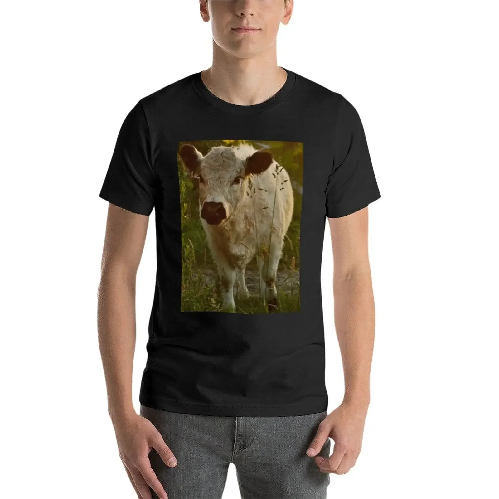 Galloway calf T-Shirt summer tops tees aesthetic clothes quick-drying funny t shirts men image 4