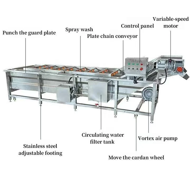 High Efficiency Electric Vegetable Brush Washer Machine with Motor for Roots Vegetable Cleaning for Vegetable Processing Plant