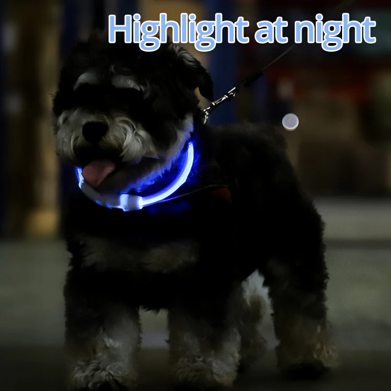 Collar con luz LED para perro, accesorio básico de seguridad con brillo de TPU, recargable por USB, para perros grandes, medianos y pequeños