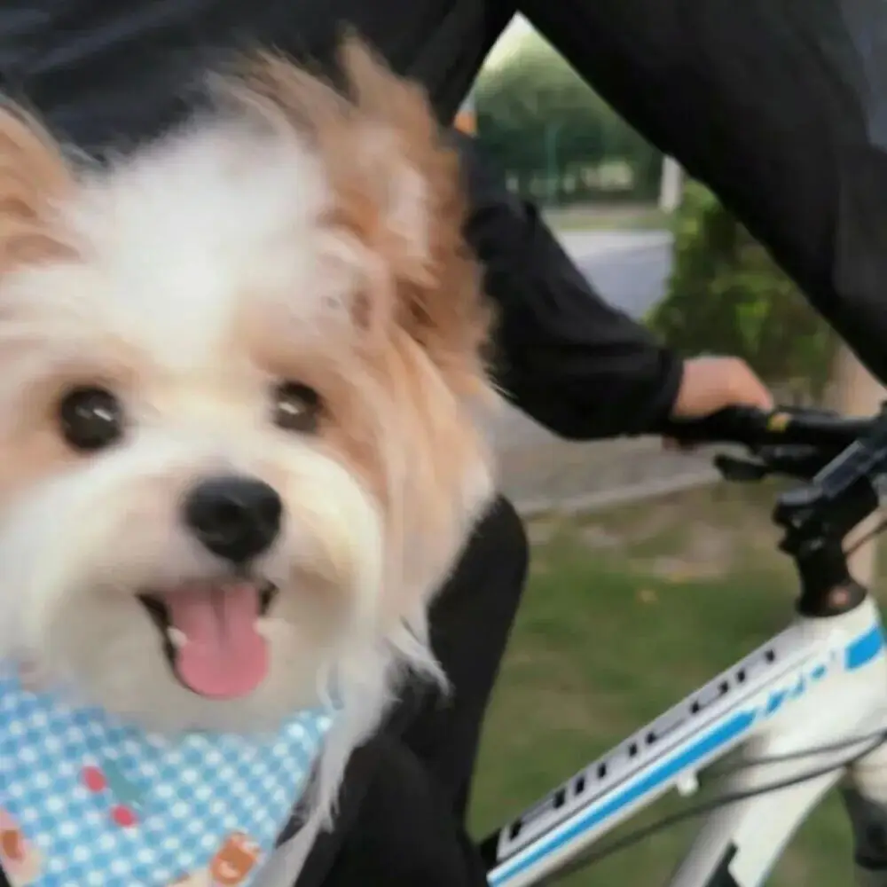 

Набор 50 мл для автомобилей: Оригинальное керамическое покрытие Gliss для авто, гипергладкое, гидрофобное нано-покрытие с микрофибровыми аппликаторами