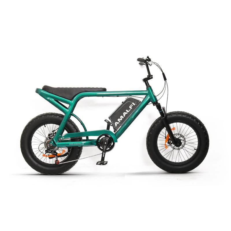 20-inch two-wheeled electric-assisted fat-tire snow bike 48v lithium battery rear wheel direct drive motor ebike