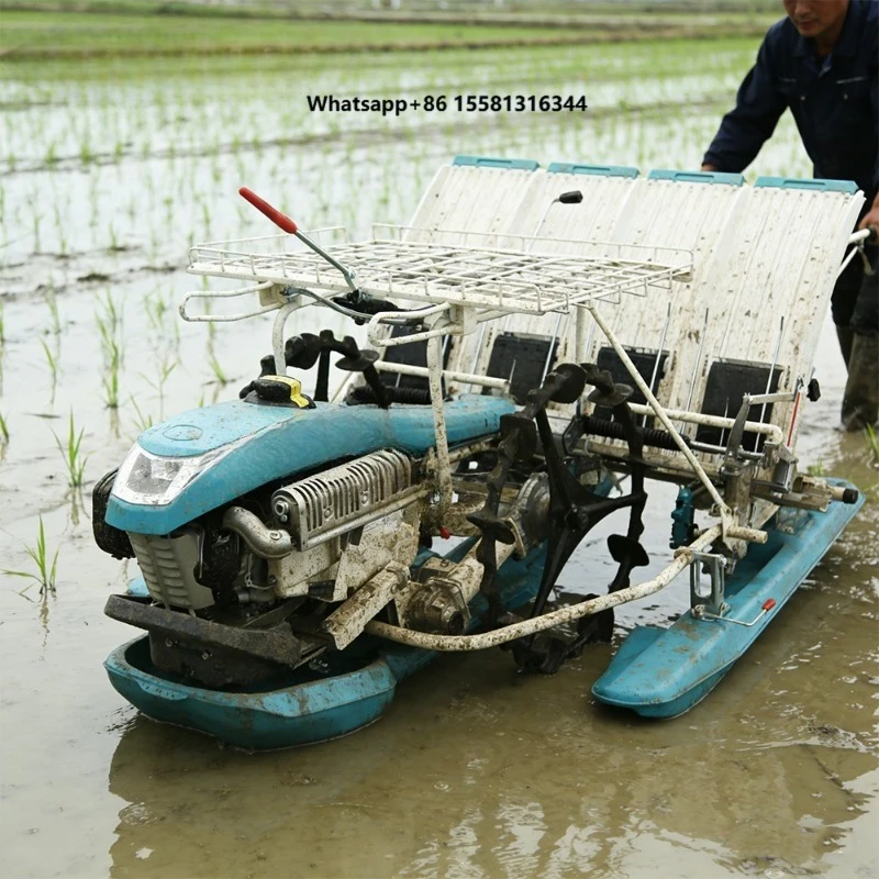 CNCMC China Supplier 4 Row 6 Row Rice Paddy Seeders Walk Behind Hand Push Transplanter Planting