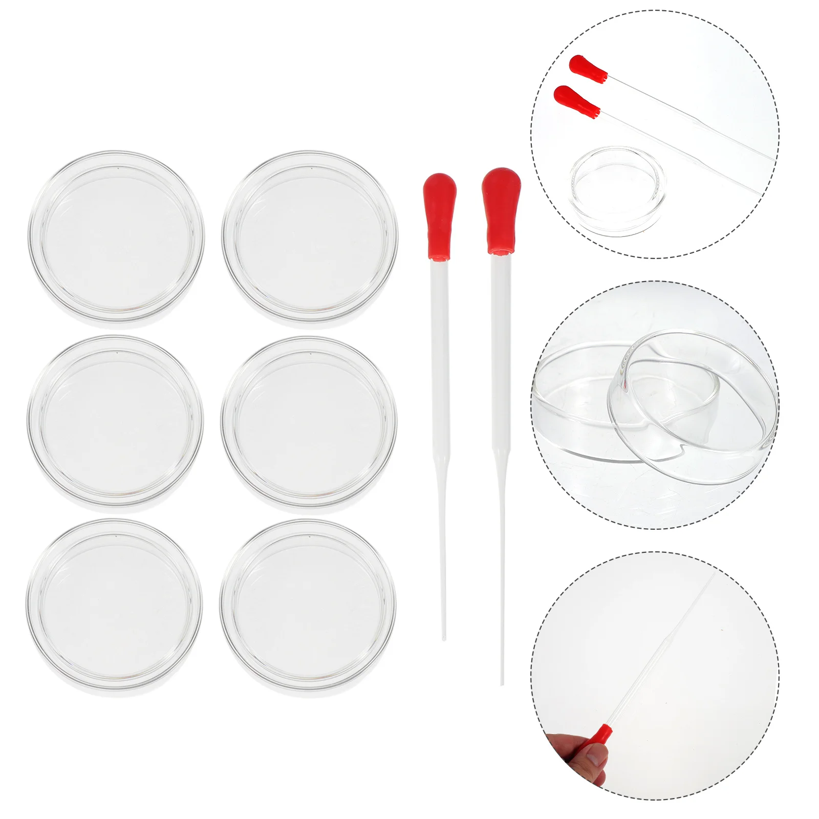 

6Pcs Petri Dish Sterile Glass Culture Dishes 60mm Lids Transfer Pipettes Lab Experiment Equipment Set Petri Dish
